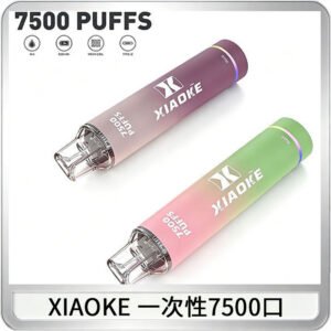 XIAOKE梟客7500Puffs跑馬燈拋棄式電子煙 可發光一次性