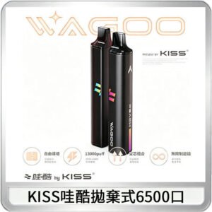 KIS5WAGOO哇酷6500口拋棄式 | 自由混搭雙口味 | 雙芯組合